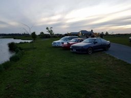 Campbell_NZ